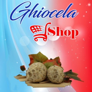 Țelină - Lei/Kg