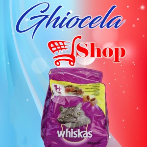 Whiskas-Mâncare uscată pentru pisici-300G