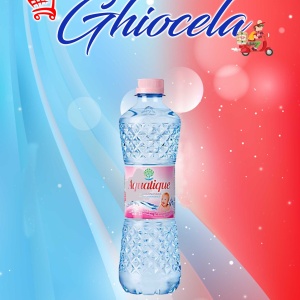 Apa Plata Aquatique 0.5L