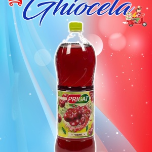 Prigat 1,75L VIȘINE