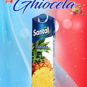 Santal 1L. ANANAS