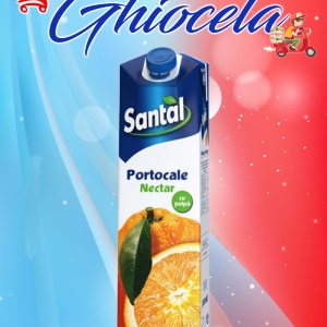 Santal 1L. PORTOCALE