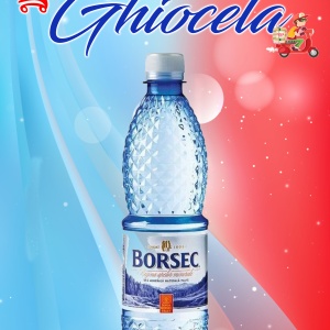 Apa Borsec 0,5L plată