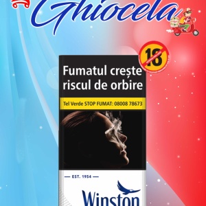 Winston Blue 100 Lung