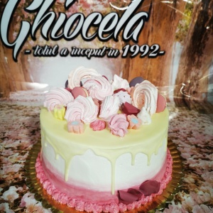 Tort Excelenta (13)