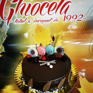 Tort Ciocolată (6)